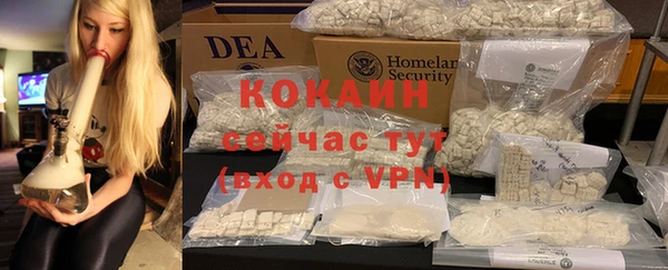 твердый Осинники