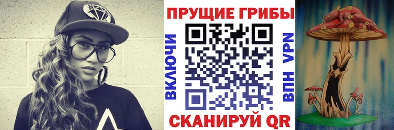 купить  сайты  Никольское  Галлюциногенные грибы прущие грибы 